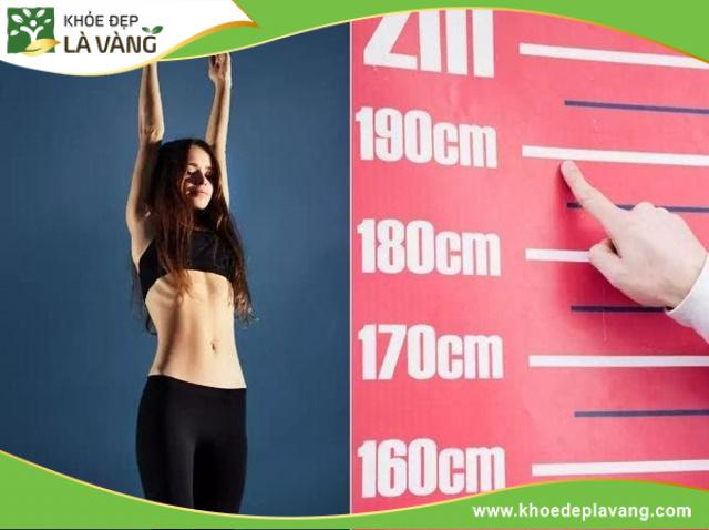 Thuốc tăng chiều cao Vincent