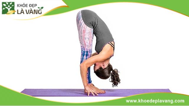 Bài tập gập người về phía trước