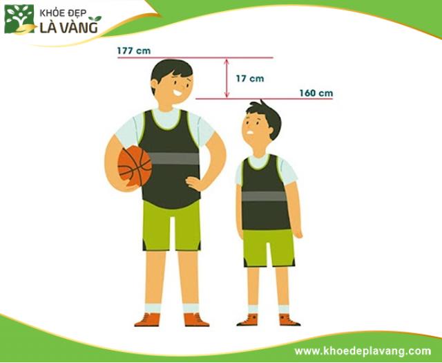 Dậy thì là thời điểm chiều cao tăng lên mạnh mẽ nhất