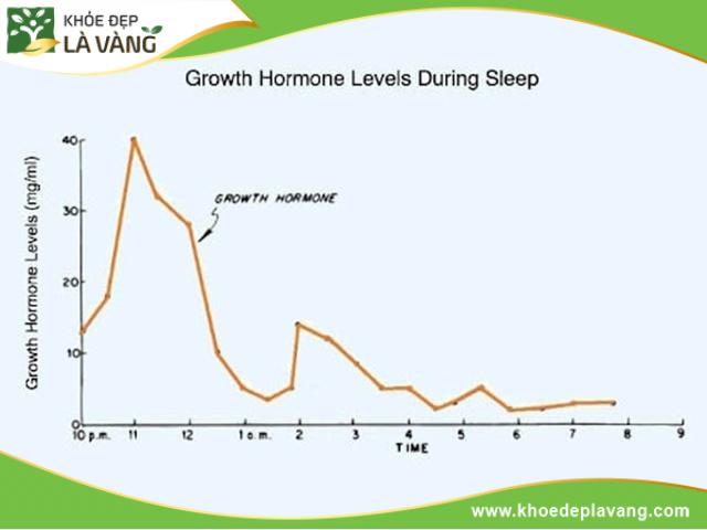 Nội tiết tố tăng trưởng tiết ra nhiều nhất từ 23 giờ - 1 giờ sáng hôm sau
