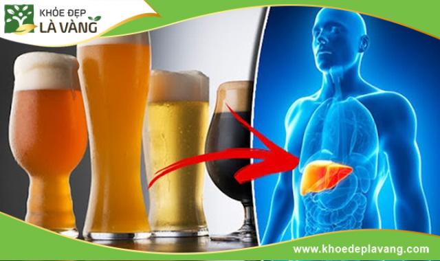 Bia làm ảnh hưởng đến chức năng lọc của gan, thận dẫn đến tích tụ chất độc trong cơ thể