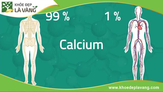 99% Canxi tập trung ở xương và răng, 1% ở trong máu