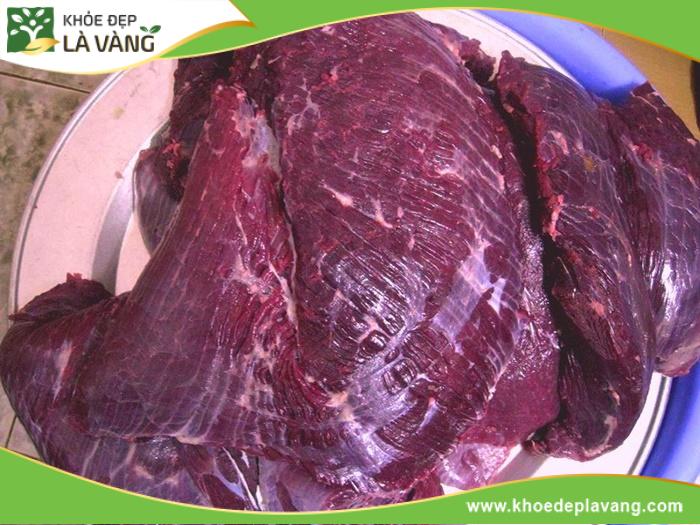 Thịt trâu hỗ trợ khắc phục tình trạng tắc tia sữa ở phụ nữ đang cho con bú